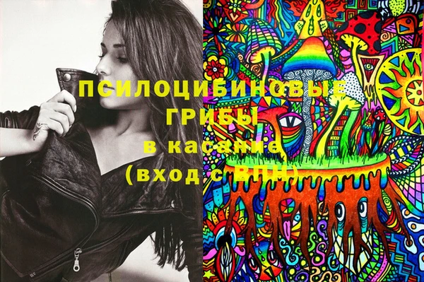 марихуана Абаза