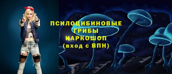 spice Алексеевка