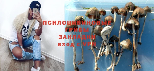 круглые Алзамай
