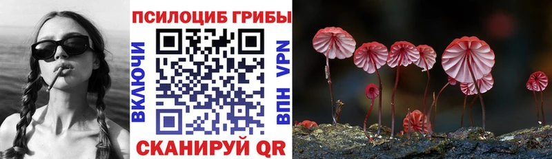 где купить наркотик  Чердынь  Галлюциногенные грибы мухоморы 